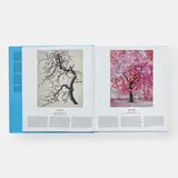 Tree 8