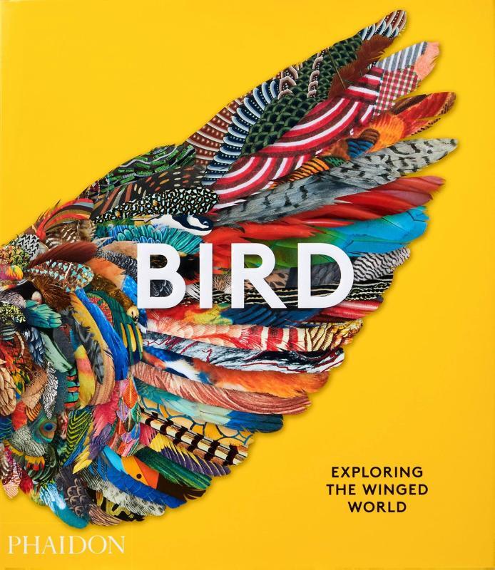 Omslag van boek: Bird
