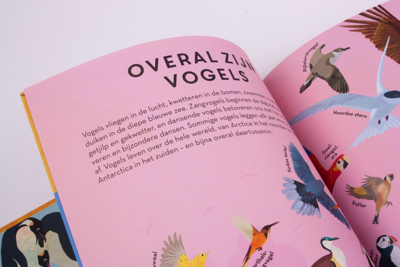 Overal zijn vogels 4