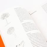 Noma's handboek voor fermenteren 3