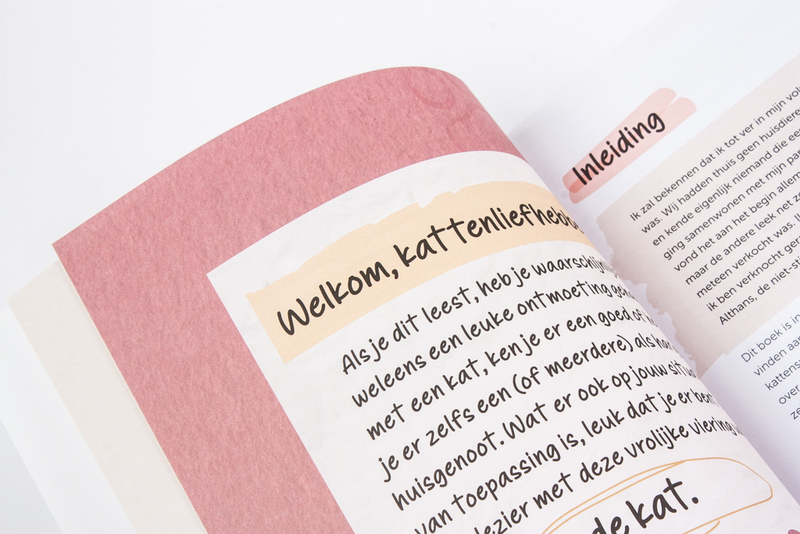 Doeboek voor kattenmensen 4