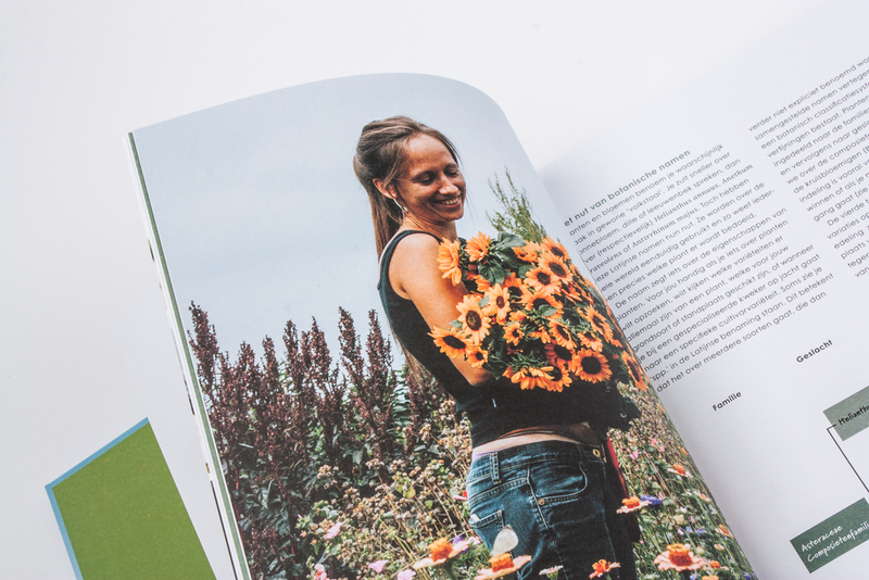 Het grote ecologische pluktuin boek 4