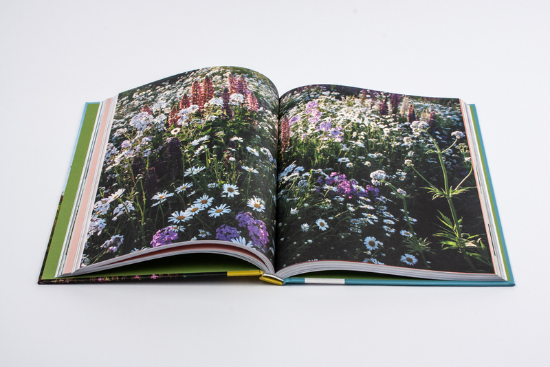Het grote ecologische pluktuin boek 5