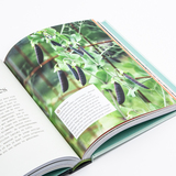 Vera's moestuin 6
