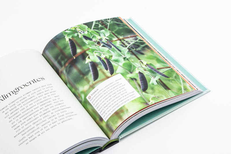 Vera's moestuin 6