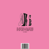 the Velvet Underground 2