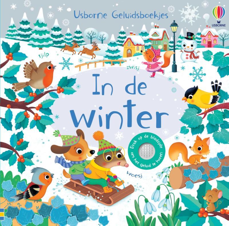 Omslag van boek: In de winter