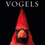 Vogels 1