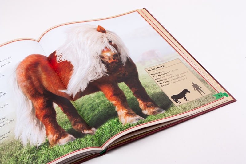 Het allermooiste boek over paarden 5