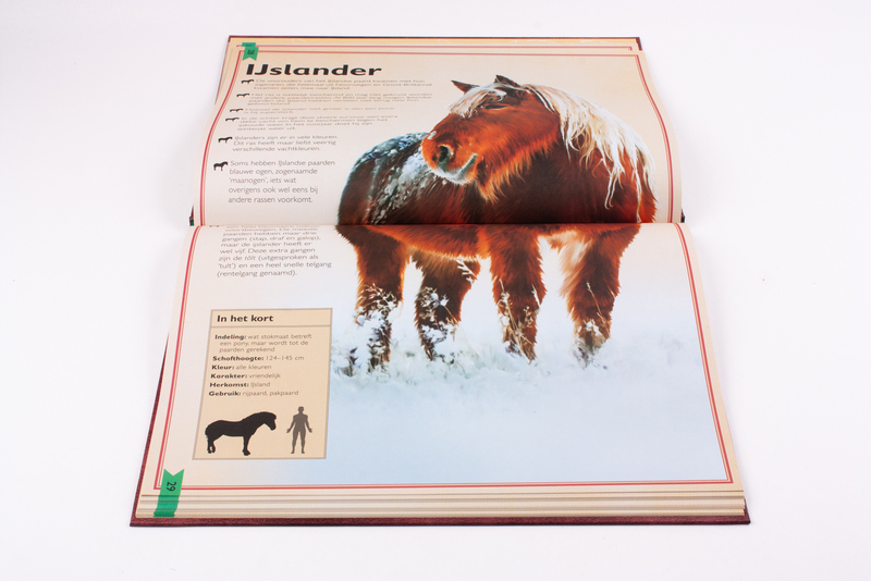 Het allermooiste boek over paarden 7