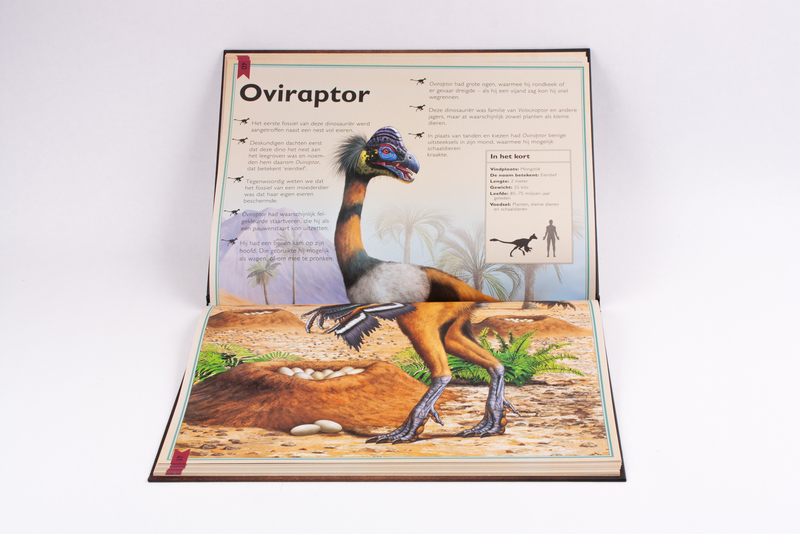 Het allermooiste boek over dinosauriërs 7