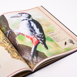 Het allermooiste boek over vogels 5