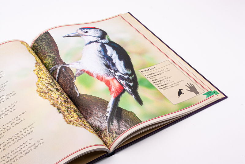 Het allermooiste boek over vogels 5