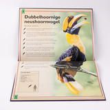 Het allermooiste boek over vogels 6