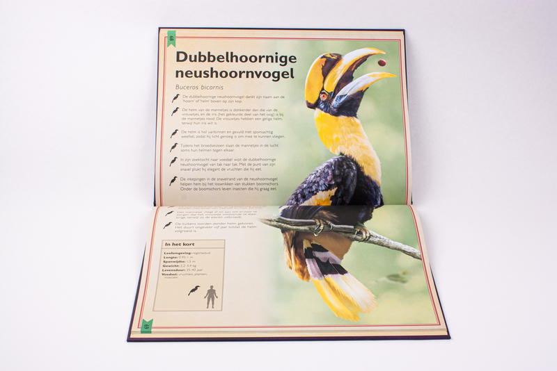 Het allermooiste boek over vogels 6